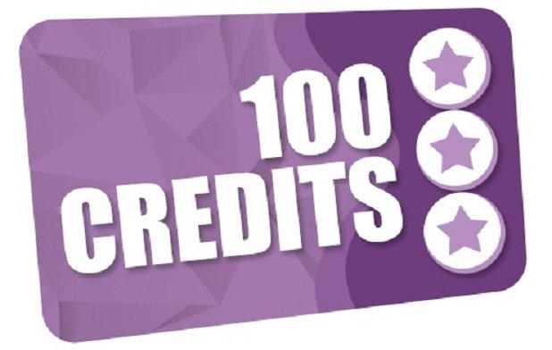 100 Bidderboy Credits